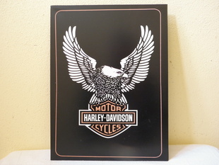 RETRO OBRAZ - MOTOR HARLEY DAVIDSON CYCLES PLECH