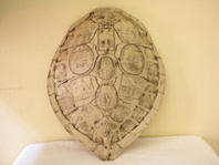 ŽELVÍ KRUNÝŘ S ORNAMENTY 39 x 32 CM