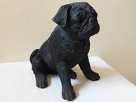 MOPS ČERNÝ - SOŠKA - MOPSÍK