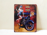PLECHOVÁ CEDULE - MOTOR SPED KING CYCLES