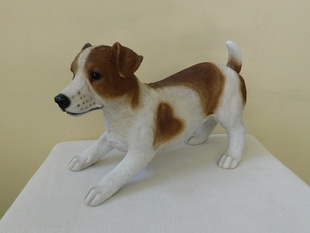 JACK RUSSELL TERIÉR - SOŠKA