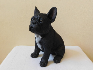 FRANCOUZSKÝ ČERNÝ BULDOČEK 