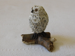 SOVA SNĚŽNÁ - SOŠKA