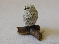 SOVA SNĚŽNÁ - SOŠKA