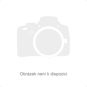 BRONZOVÁ SOCHA AMOR A PSYCHÉ  NA MRANORU