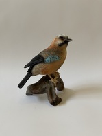 SOJKA OBECNÁ - SOŠKA