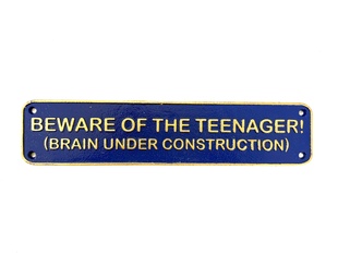 BEWARE OF THE TEENAGER - LITINOVÁ CEDULE