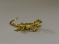 AGAMA - JEŠTĚRKA VE ZLATÉM BAREVNÉM PROVEDENÍ