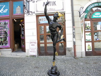Fotka 7